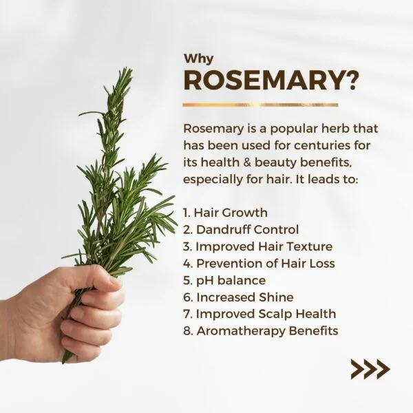 Rosemary Water - Image 2
